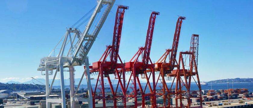 Crane Painting Project